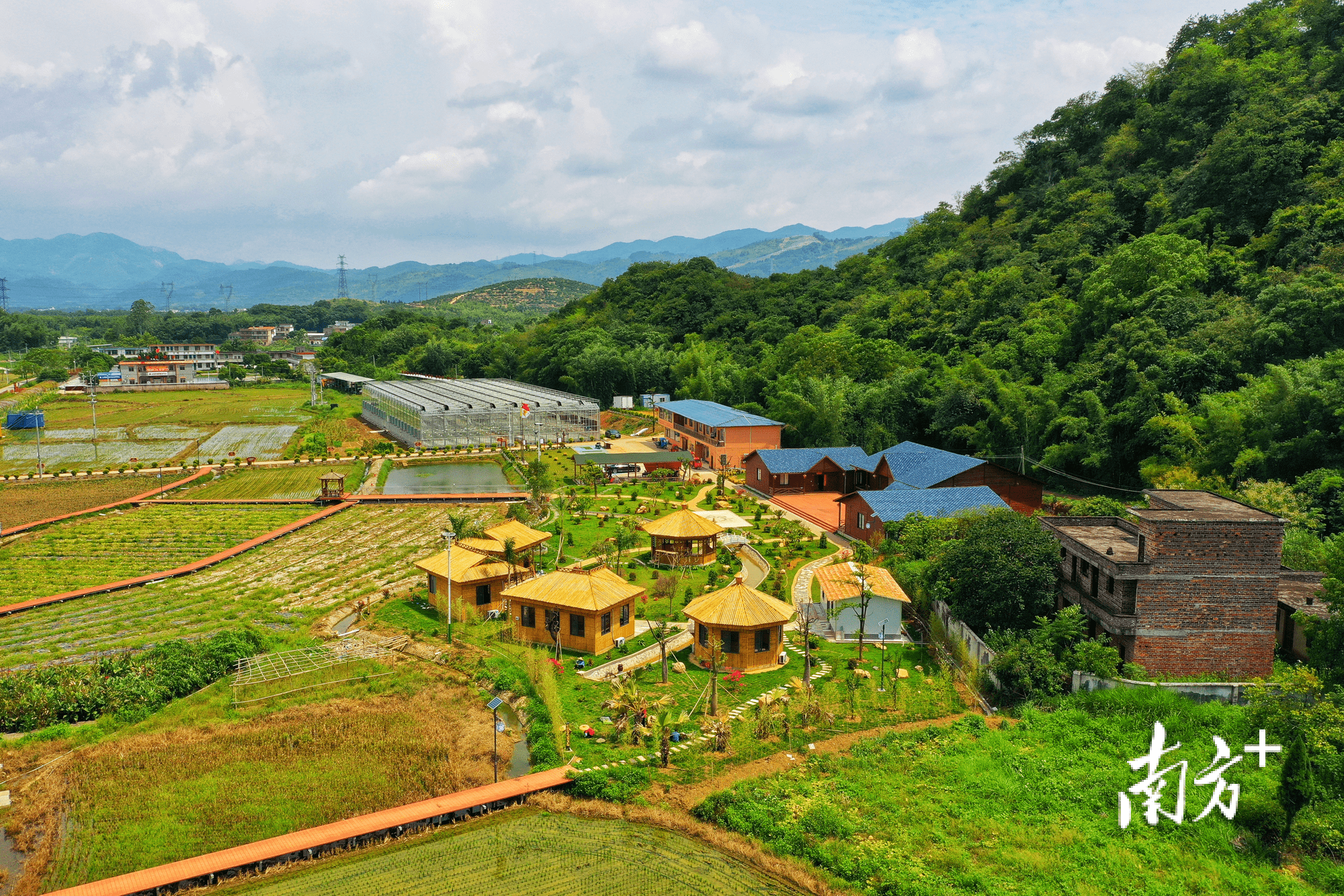 乌铅村最新领导——引领乡村走向振兴的先锋力量