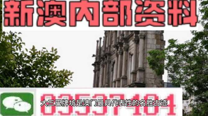 澳门最精准资料免费公开，精密释义与落实解析