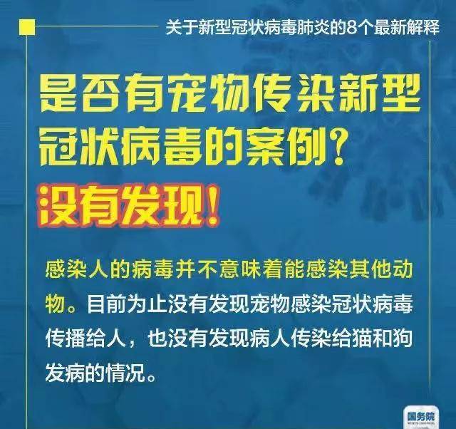 新澳门王中王与外包释义，探索、解释与落实