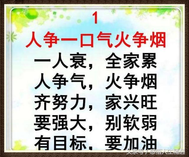 婆家一肖一码，温和释义、解释与落实的重要性