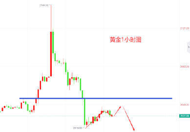 白小姐一肖一码，揭秘精准预测与行动落实的奥秘（第261期）