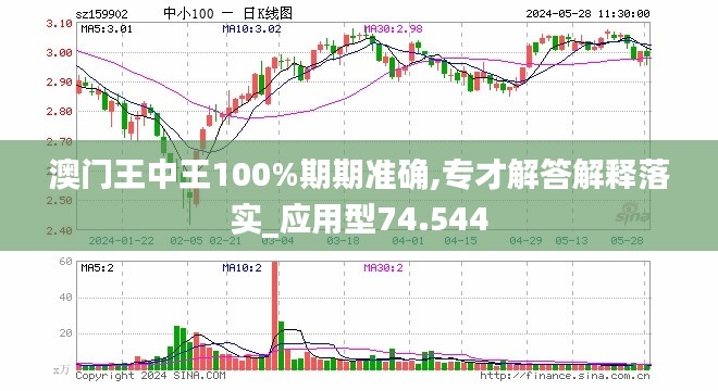 澳门王中王与灵动释义，深度解析与落实策略