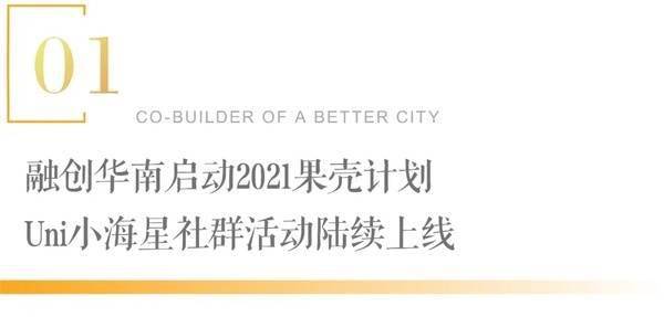 探索新澳门正版免费资料与春风释义的深层内涵——落实行动的力量