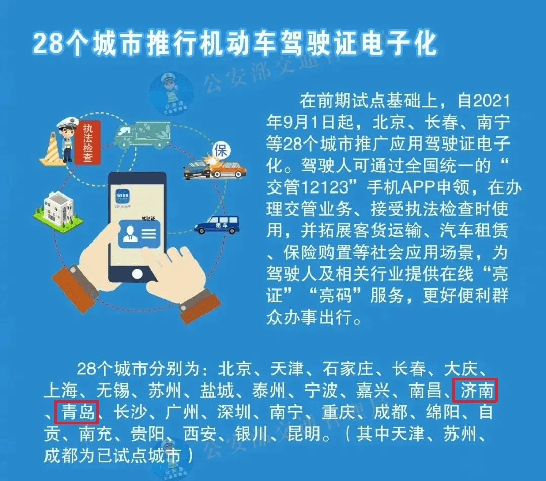 新澳天天开奖资料，深度解读与落实策略探讨