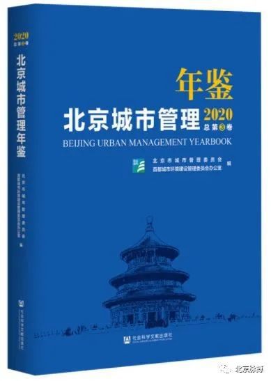 探索新奥之路，精准正版资料、整治释义与落实策略