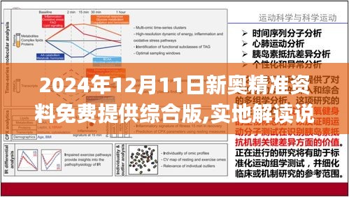 揭秘2024新奥全年资料免费大全与链协释义的深度落实