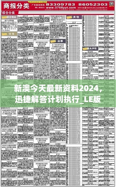 新澳2024年最精准资料解析与落实策略，现实释义与解释的重要性