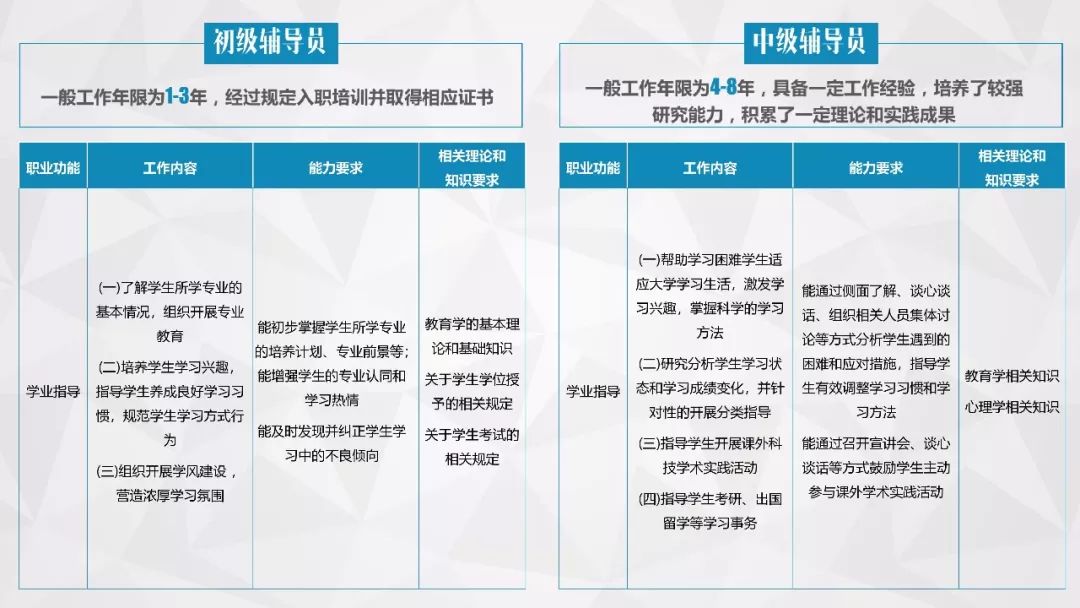 揭秘2024新奥正版资料免费，全面释义解释落实之道