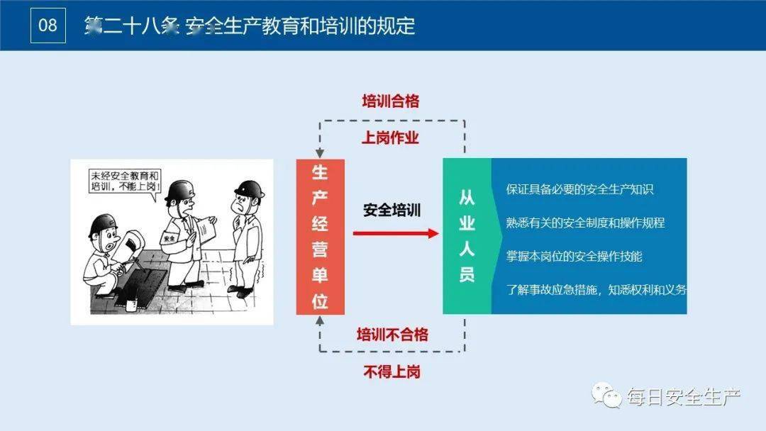 一肖一码一一肖一子，安全释义、解释与落实