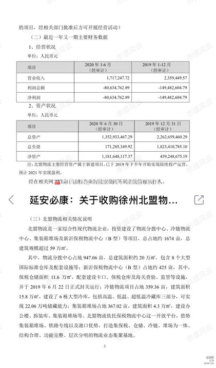 最准一肖100%最准的资料与物流释义的深入解读与实施策略