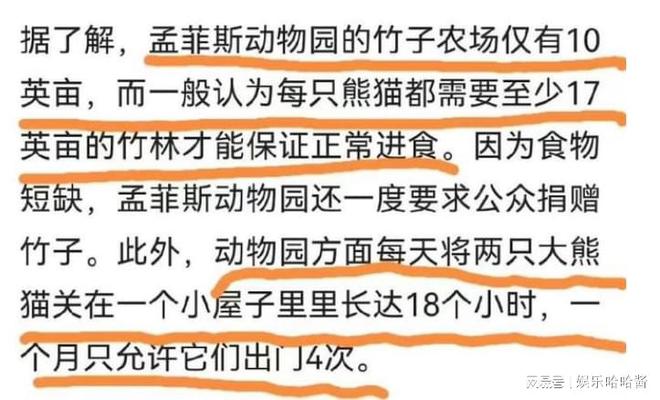 日本亲子与子乱偷iHD现象，预见、释义、解释与落实对策