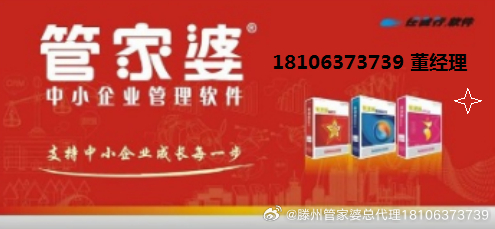 管家婆正版全年免费资料的优势，深度解析其优势并探讨其实际应用