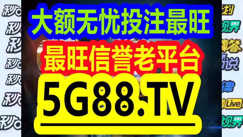 管家婆一码一肖与精准预测，深入解读与实际应用