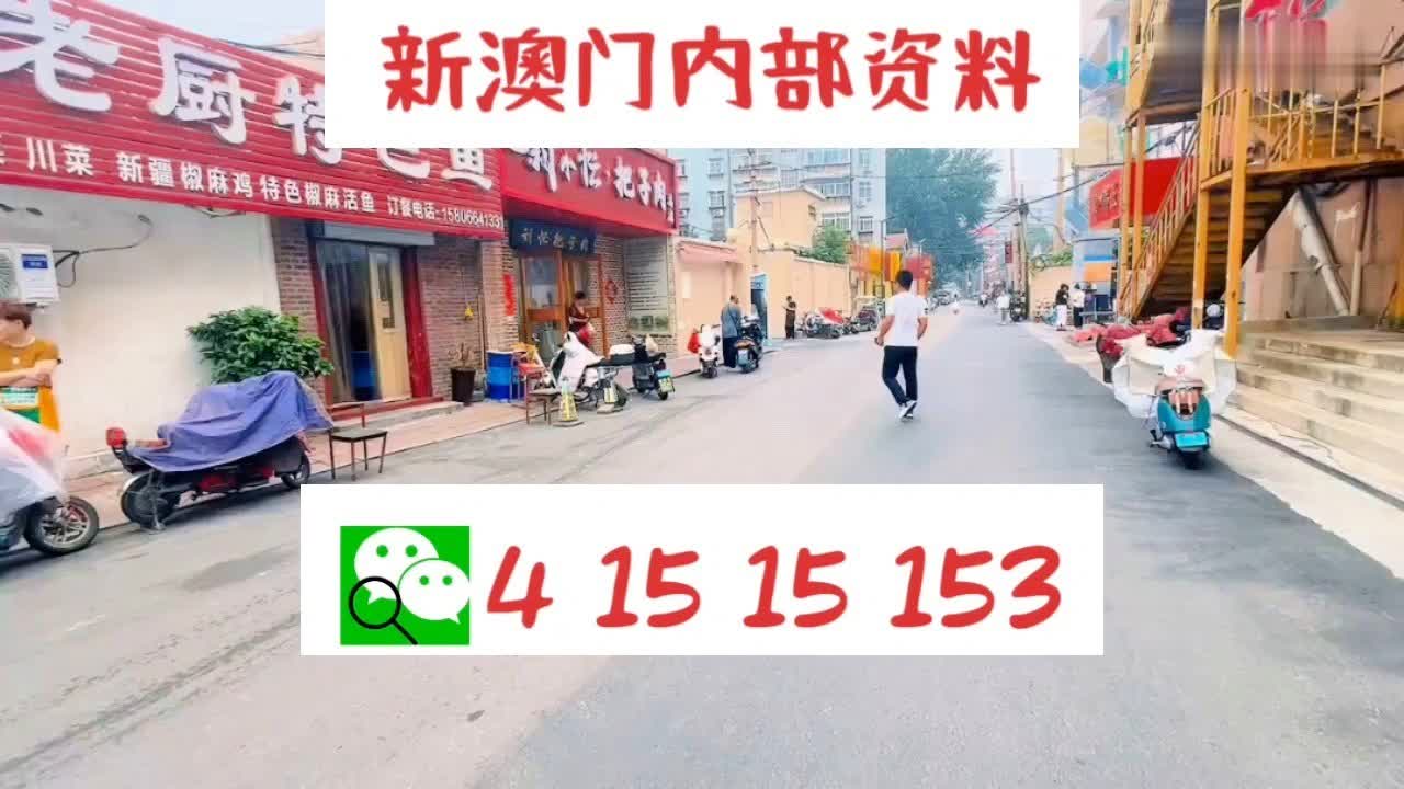 澳门彩票文化，2024年天天开好彩的体会与落实策略