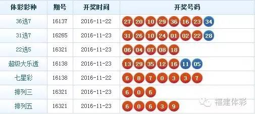 新澳门免费资料大乐透与队协释义解释落实，探索与实践