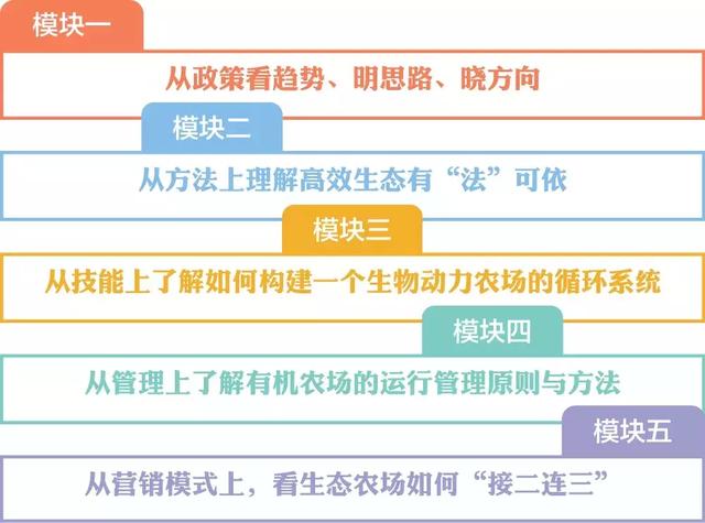 新澳门天天开好彩大全软件，软件优势与高效释义下的法律合规之路