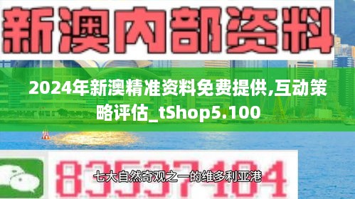 新澳正版资料免费提供与系列释义解释落实的全面解析