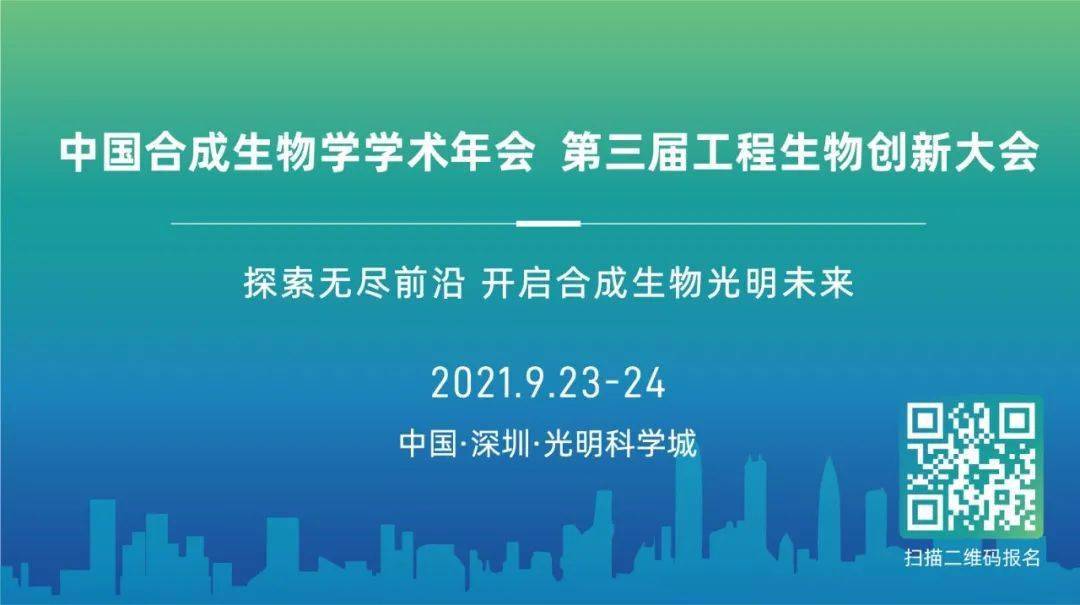 探索澳门未来，2025年新澳门免费资料的明净释义与落实策略