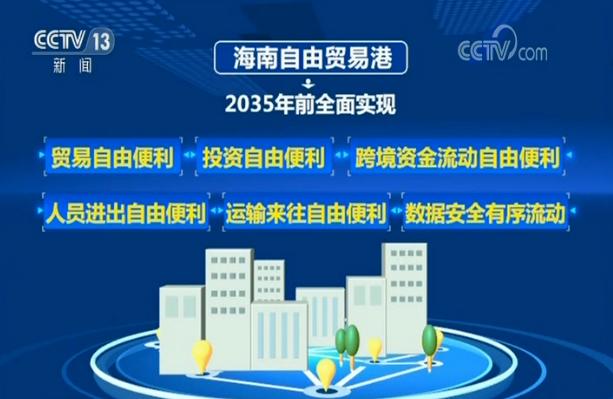 迈向公开透明，2025年全年资料免费公开的实践与稳健落实