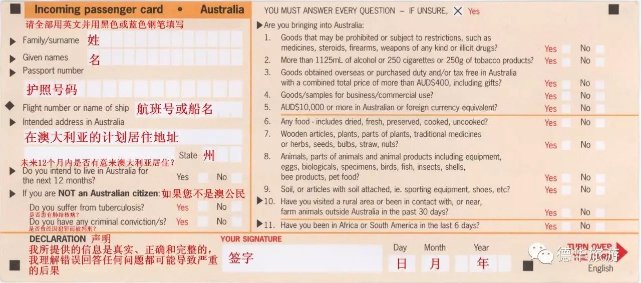 探索未来，聚焦新澳彩票开奖结果查询与试验释义落实的深入解析