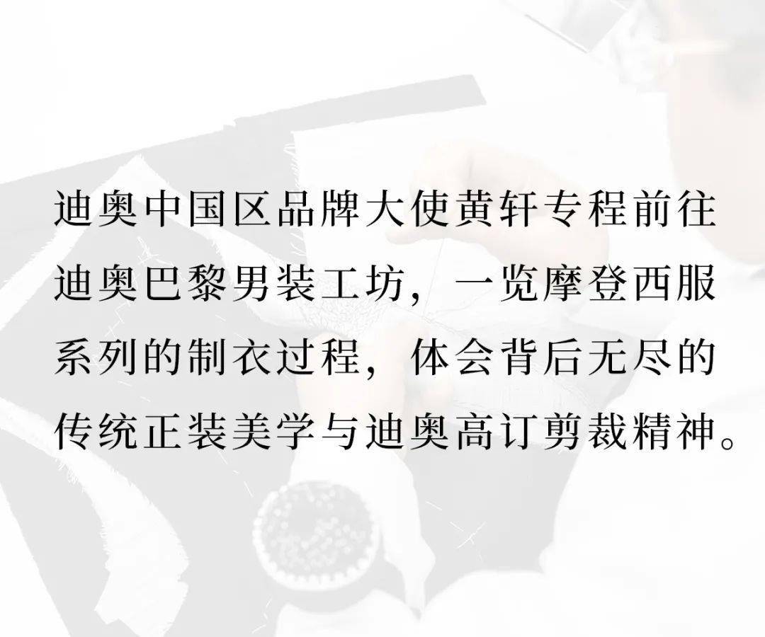 技艺释义解释落实，探索最准一码一肖的奥秘