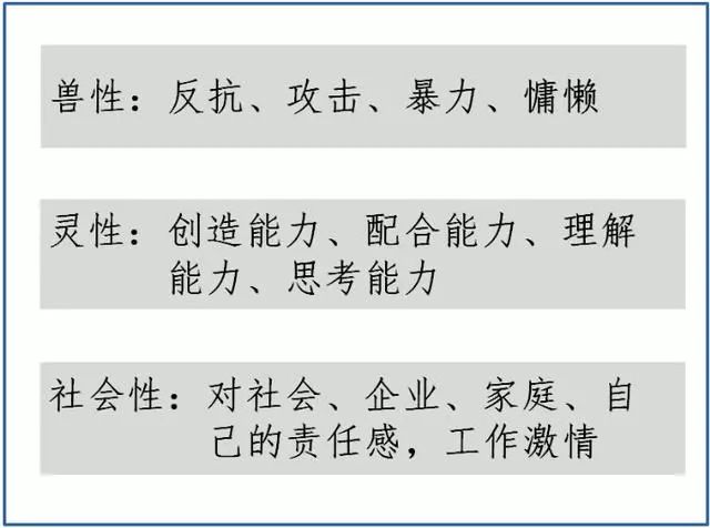 澳门今晚开特马四不像图——引导释义解释落实