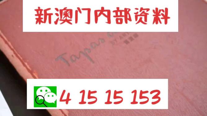 新澳门内部精准资料与良师释义，深度解析与落实策略