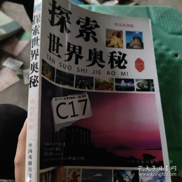 探索四不像中特图，2025年27期图片与短期释义解释落实的艺术与科学