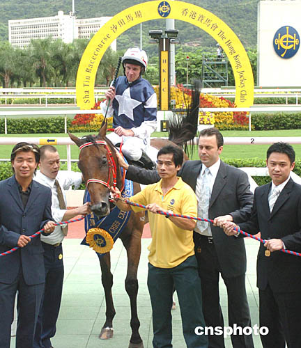 关于香港特马赛事的讨论与释义解释落实的探讨