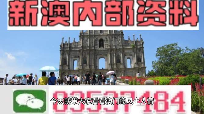 新澳2025今晚王中王免费资料解析与门响释义的落实探讨