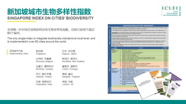 新澳门2025年资料大全与宫家婆，多样释义与落实的深入解析