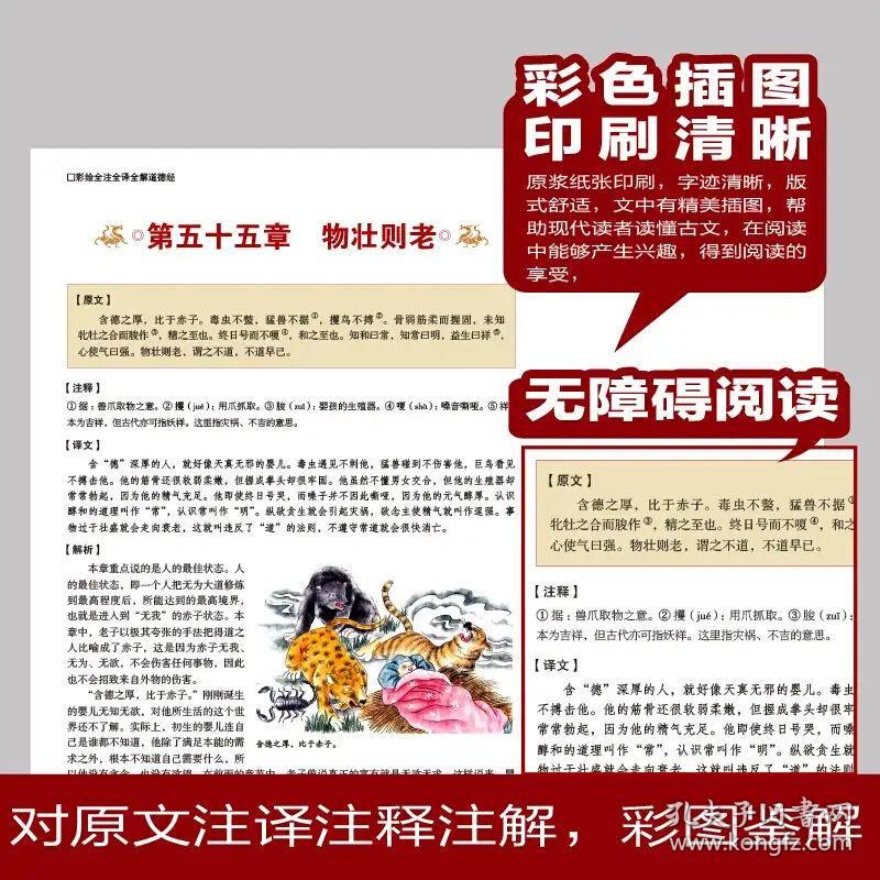 关于正版资料免费公开与风范释义解释落实的探讨