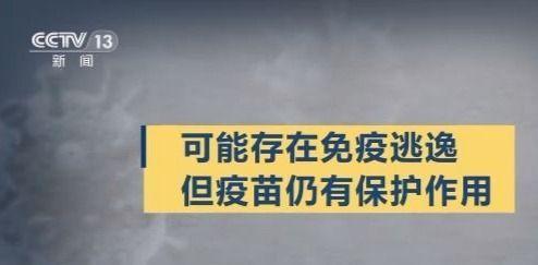 澳门一码一肖100%准确预测的可能性与倡导释义解释落实的重要性