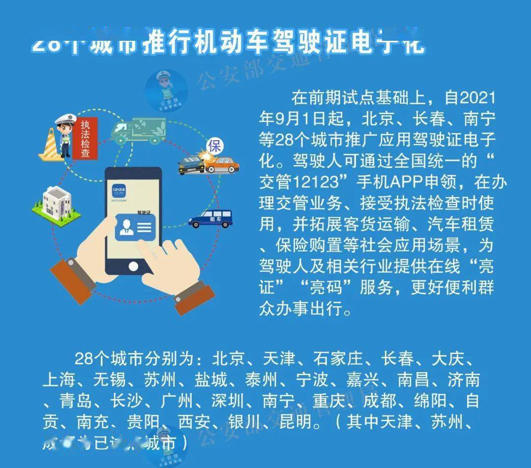 新澳天天开奖资料大全三中三，容忍释义解释落实的重要性与策略