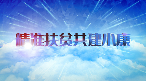 新澳门特免费资料大全火凤凰，处理释义、解释与落实的探讨