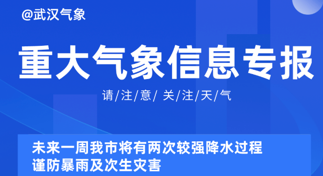 探索未来，2025新奥正版资料的免费共享与释义解释落实