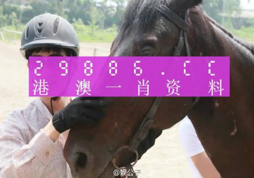 澳门今晚必开一肖一码，视察释义解释落实的全方位解读