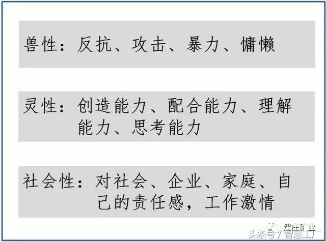 澳门特马今晚开什么码，尊敬、释义、解释与落实