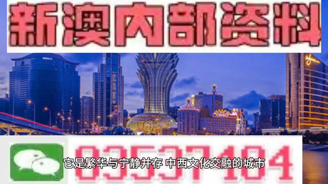 新澳2025今晚王中王免费资料与门响释义解释落实深度探讨