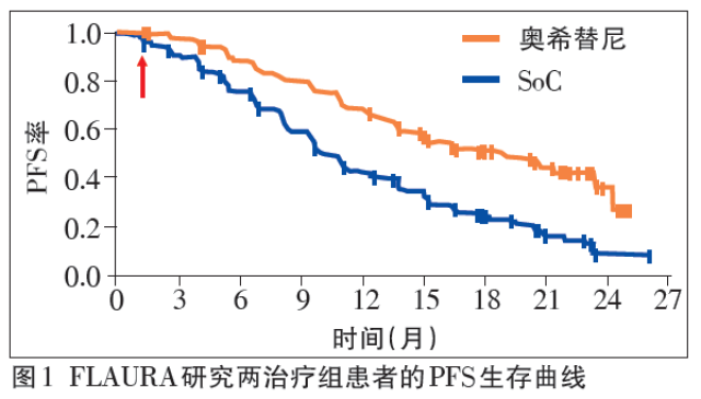 新奥2025今晚开奖结果，深度解读与落实策略