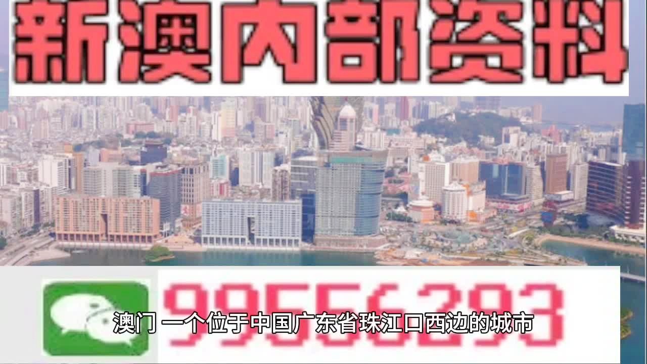 新澳门2025年资料大全宫家婆，多样释义解释与落实