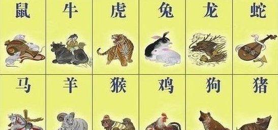 揭秘十二生肖与数字49的奇妙联系，解码真挚释义与行动落实之道