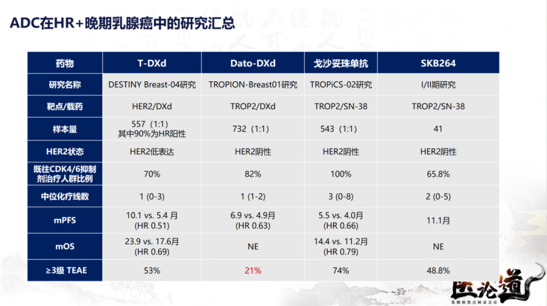 探索未来，2025新澳精准资料大全与多闻释义的落实之道