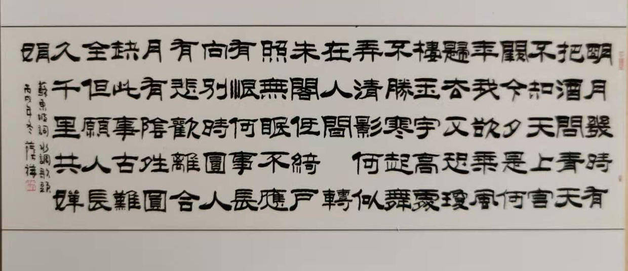 探索书法释义与落实行动，基于新澳精准正版资料的深度解析