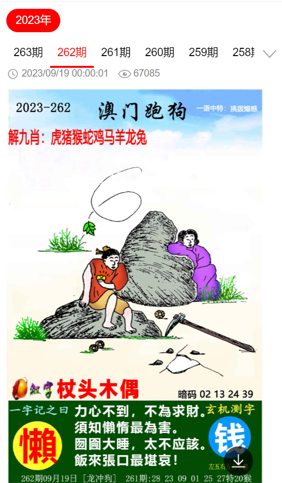 澳门管家婆一肖与睿智释义，探索与实践的落实之路