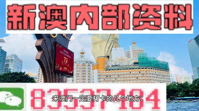 新澳门兔费资料的时代释义与落实策略，展望2025年及未来