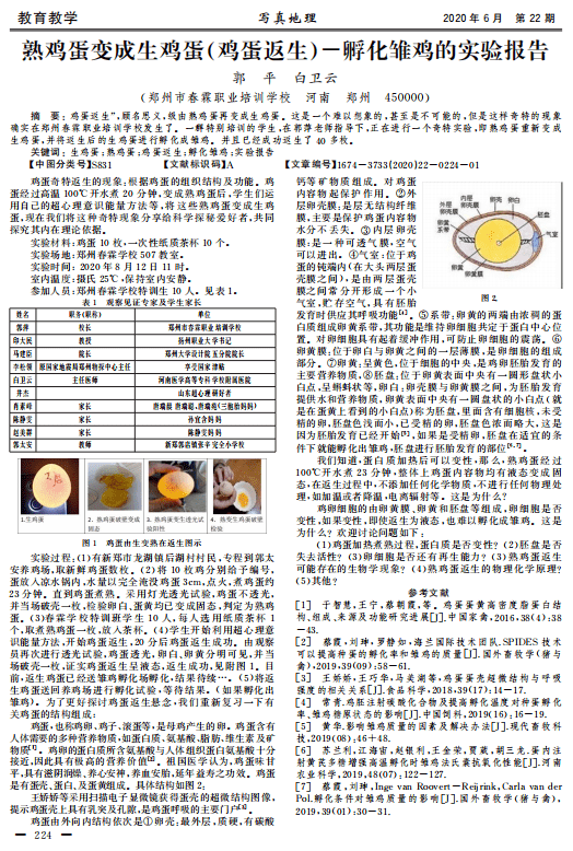 精准一肖，评价与释义的落实，百分之百免费