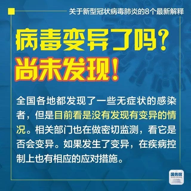 解析澳门生肖文化，迈向未来的新澳门六肖与精专释义的落实