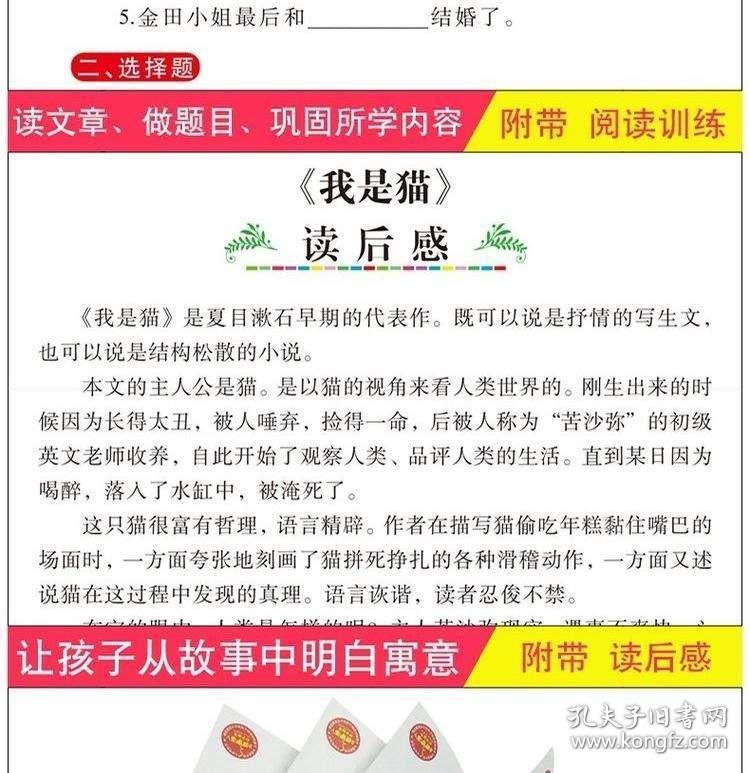 探索246天天天彩与丰盛释义的世界，944cc资料大全及其实践落实