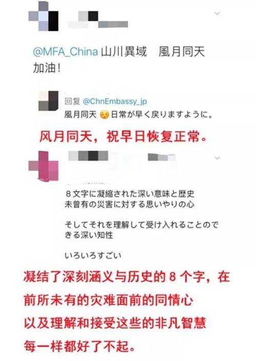 新奥天天免费资料单双中特，释义、引进与落实的深度解析